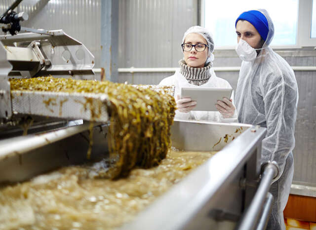 workers in food plant