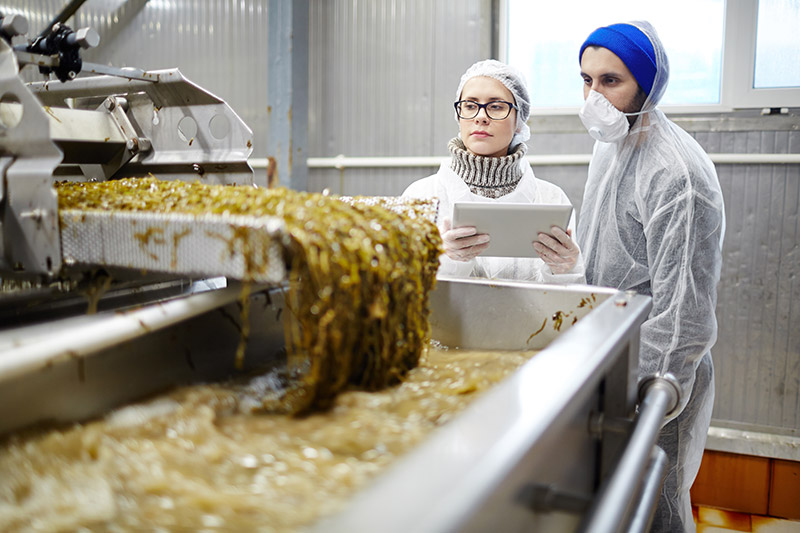 workers in food plant